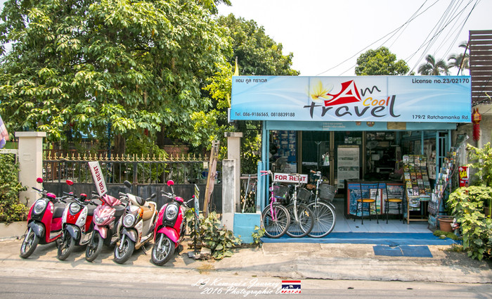 清迈佛寺之城等你采撷的泰北玫瑰,清迈环球旅行家