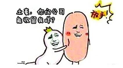 看完想辞职的视频,看完想辞职系列