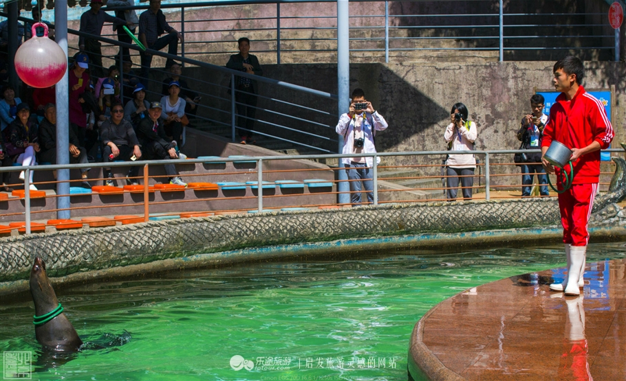 游览安吉中南百草园,中南百草原几个小时游玩