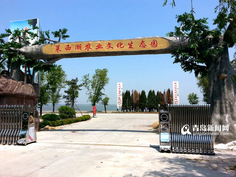 吕英志:2020年把“乐在莱西”培育成全国知名品牌