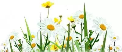 西郊宾馆后花园,上海西郊庄园周边配套