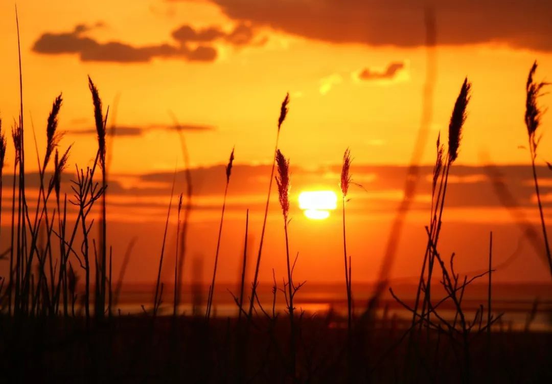 春节上海深度游玩攻略,上海春节游玩攻略老城区