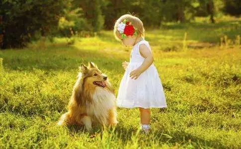 宝宝被宠物猫抓伤,宝宝被宠物狗咬伤视频