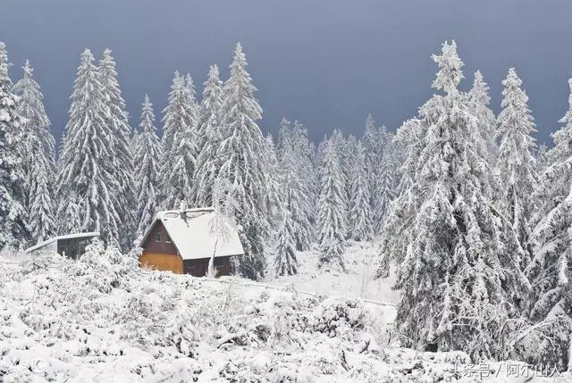 阿尔山冬天去还是夏天去,阿尔山看雪的最佳时间