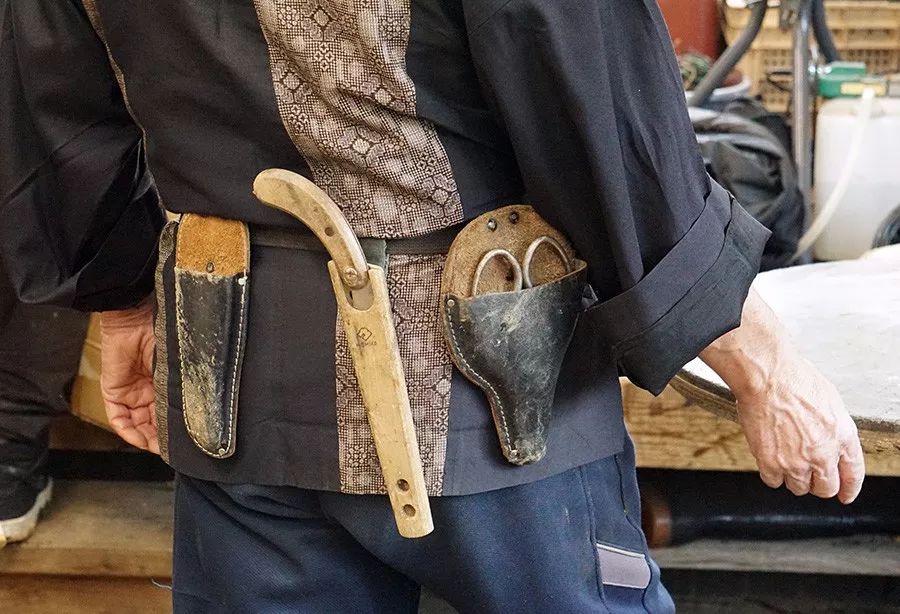 手艺失传可咋办？中国徒弟有方案