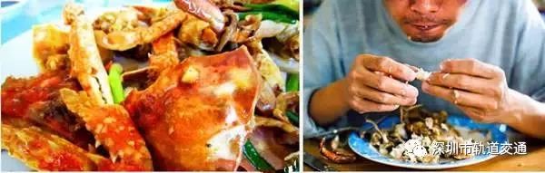 深圳高铁最佳路线图,深圳高铁沿途风景视频