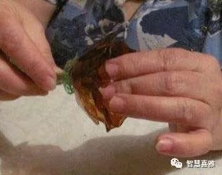 手工塑料玫瑰花制作过程,用塑料彩带做玫瑰花