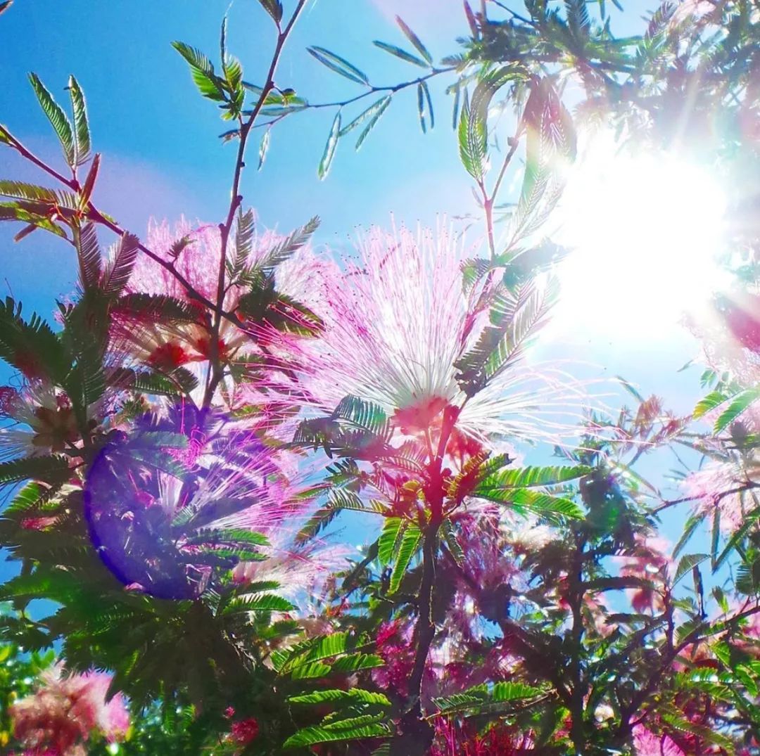 经常去旅行的人钱从哪来,去旅游的钱从哪里来的