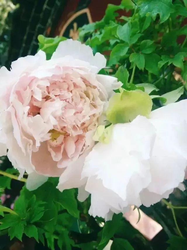 西安慢火车周边游,从西安出发高铁周边游一日游