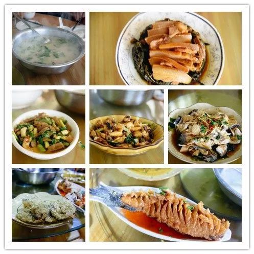 樱花梦日语,永福樱花之旅