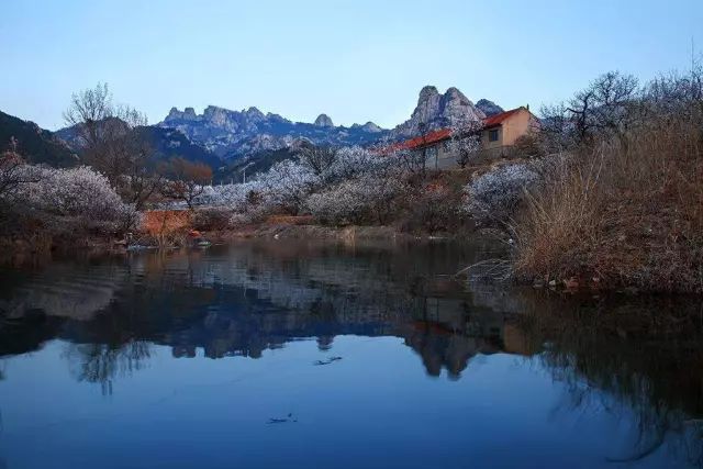 厉害了城阳,厉害了我的家乡青岛