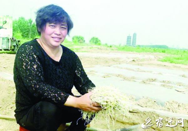 创业路上宿迁这群“铿锵玫瑰”“秀”出独有的美丽