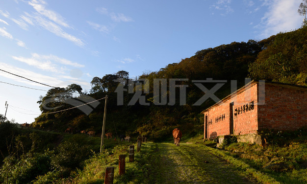 第一高山歌曲,第一高山在哪