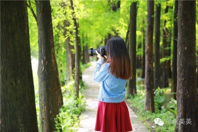 2月16到3月31免门票的地方,七星岩攻略一日游门票