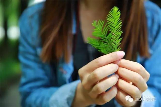 2月16到3月31免门票的地方,七星岩攻略一日游门票