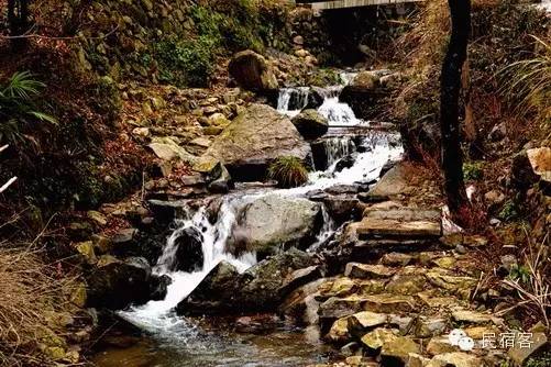 初夏,感受溪水的清凉,就去这几家溪畔民宿