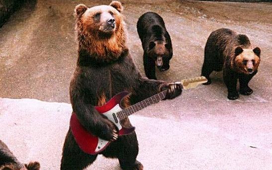 700年前的陶盘，猫认证