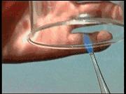 物理大师化学方程式,物理化学知识点方程式