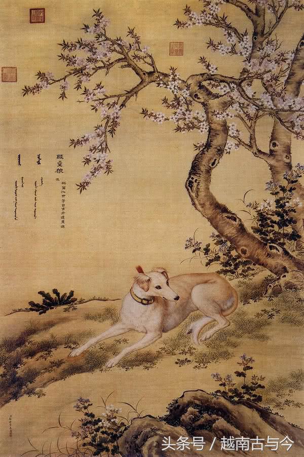 狗年说狗民间关于狗的传说,狗年说狗闲谈中国狗文化