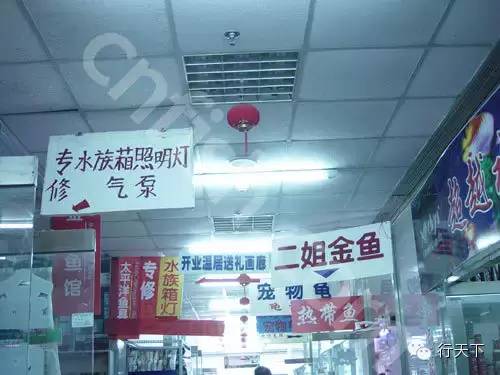 忆天津卫的6大“破烂市儿”,卖书卖花卖宝贝