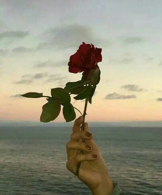 赌徒们该醒悟了吗,赌徒小伙醒悟后认真踏实工作