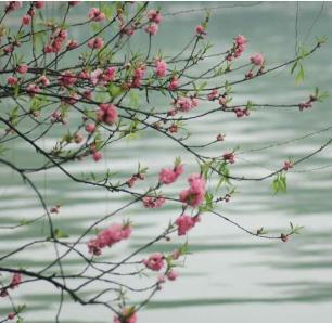 迎接新年的诗句有哪些呢,描写新年的诗句还有什么