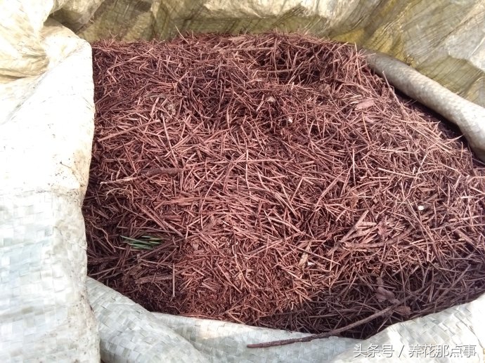 盆栽板结的土壤怎样改良,盆栽土种什么防止板结