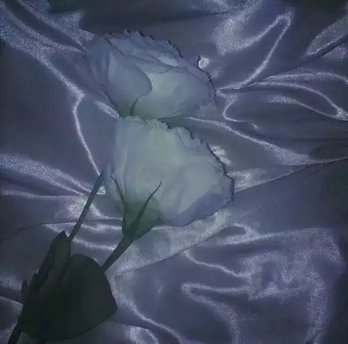 顾城非常经典的诗句,顾城门前的唯美诗句