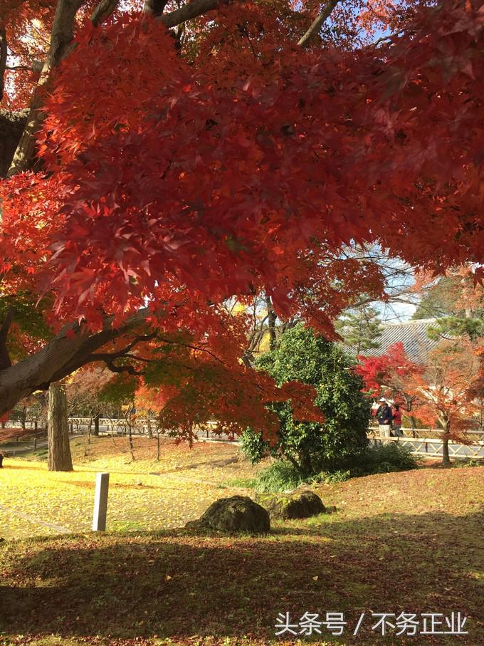 旅行|CoordinateBook06-No.535.0116°N,135.7680°E京都