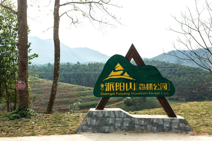 崇左自驾旅游景点有哪些地方,广西崇左沿途的风景