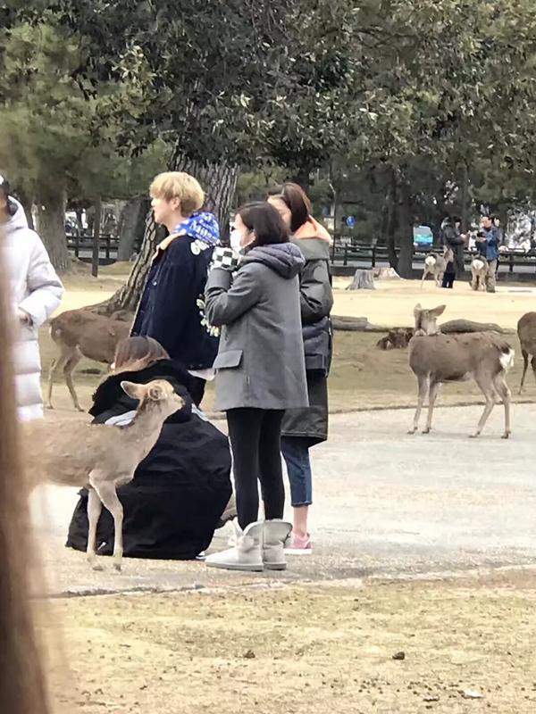 鹿晗带关晓彤见陈赫邓超,鹿晗看范丞丞关晓彤