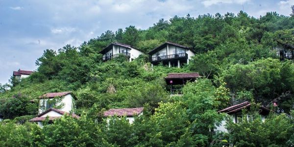 英德奇洞温泉门票和别墅价格表,英德奇洞温泉特价门票多少钱一张