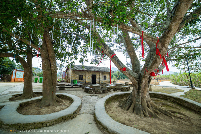 崇左自驾旅游景点有哪些地方,广西崇左沿途的风景