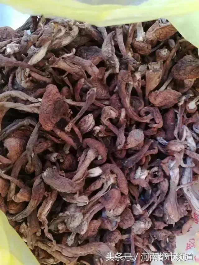 “我妈可能觉着我在外面会饿死！”打开返程后备箱，暖心又扎心！