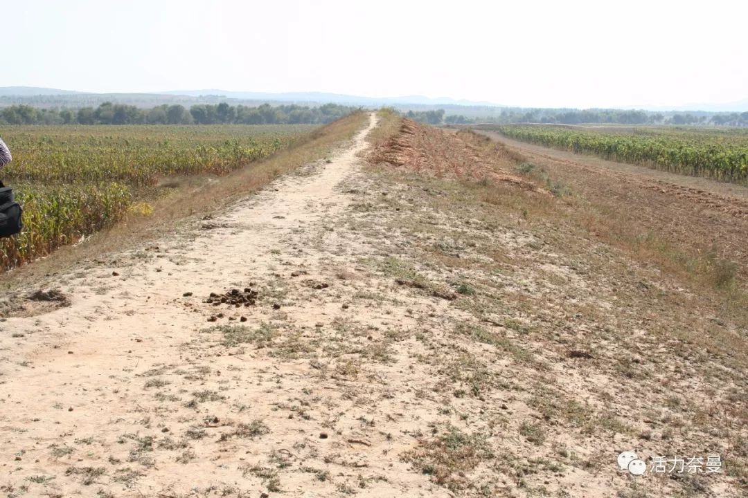 45万人的名片,太漂亮了!!《奈曼人的名片》最新版,45万次!!!精工打造!!!