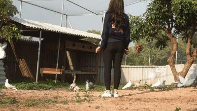 亲子游好去处!番禺周边的农家乐、游乐场、文化园…充实又好玩!