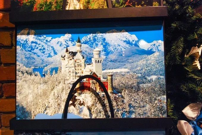 别再排斥跟团了之德国行，从哈布斯堡王朝，到雅历安血统