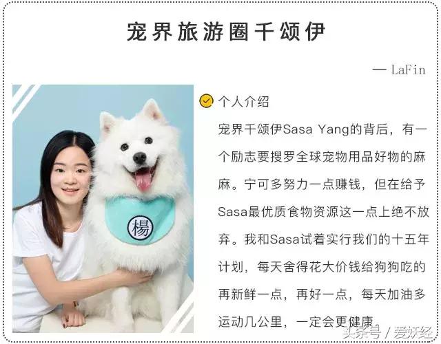 宠物洗护合集,宠物洗护攻略