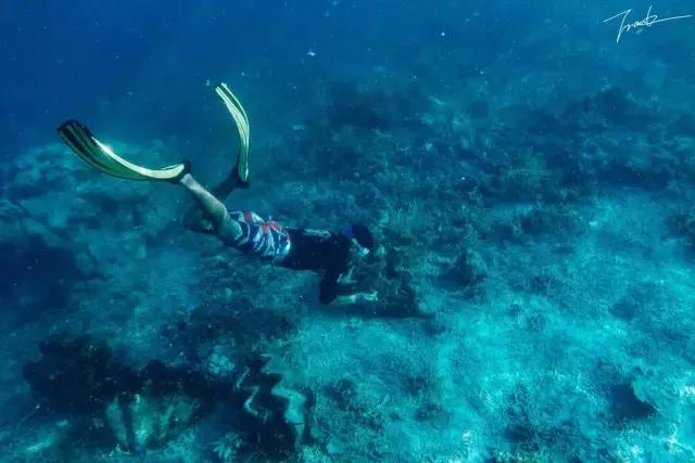 帕劳深度游出海,帕劳深潜体验