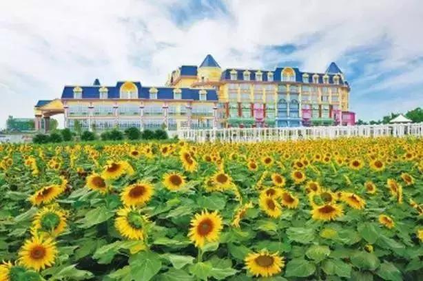 亲子游好去处!番禺周边的农家乐、游乐场、文化园…充实又好玩!