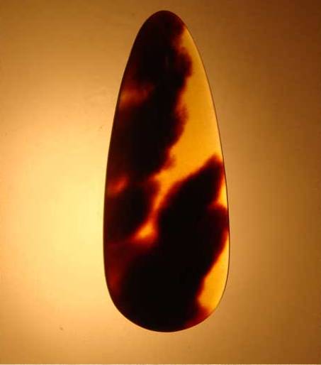 古筝玳瑁甲上的胶怎么除去,古筝玳瑁义甲是真的玳瑁么