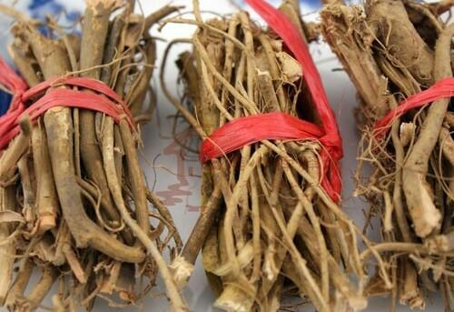 广东人参是怎样的,一文说清楚广东人参