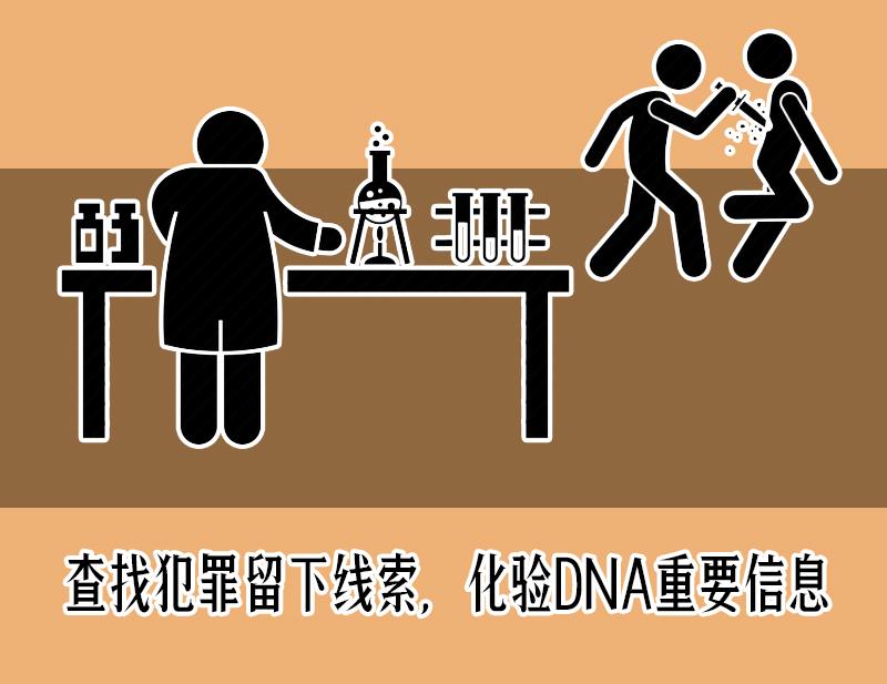 唐人街探案2为何评分低,唐人街探案清道夫什么职业