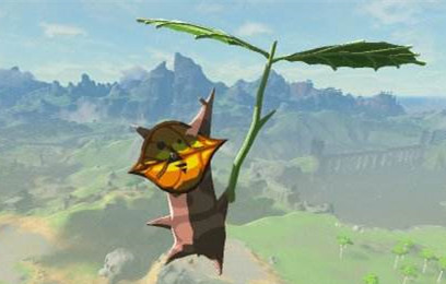 新人入手switch注意事项,买switch之前需要注意什么