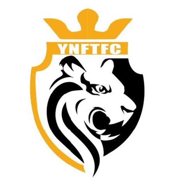 昆明飞虎队足球,飞虎队换装是真的吗