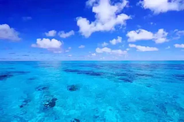 帕劳群岛隐藏攻略,帕劳旅游的优点和缺点