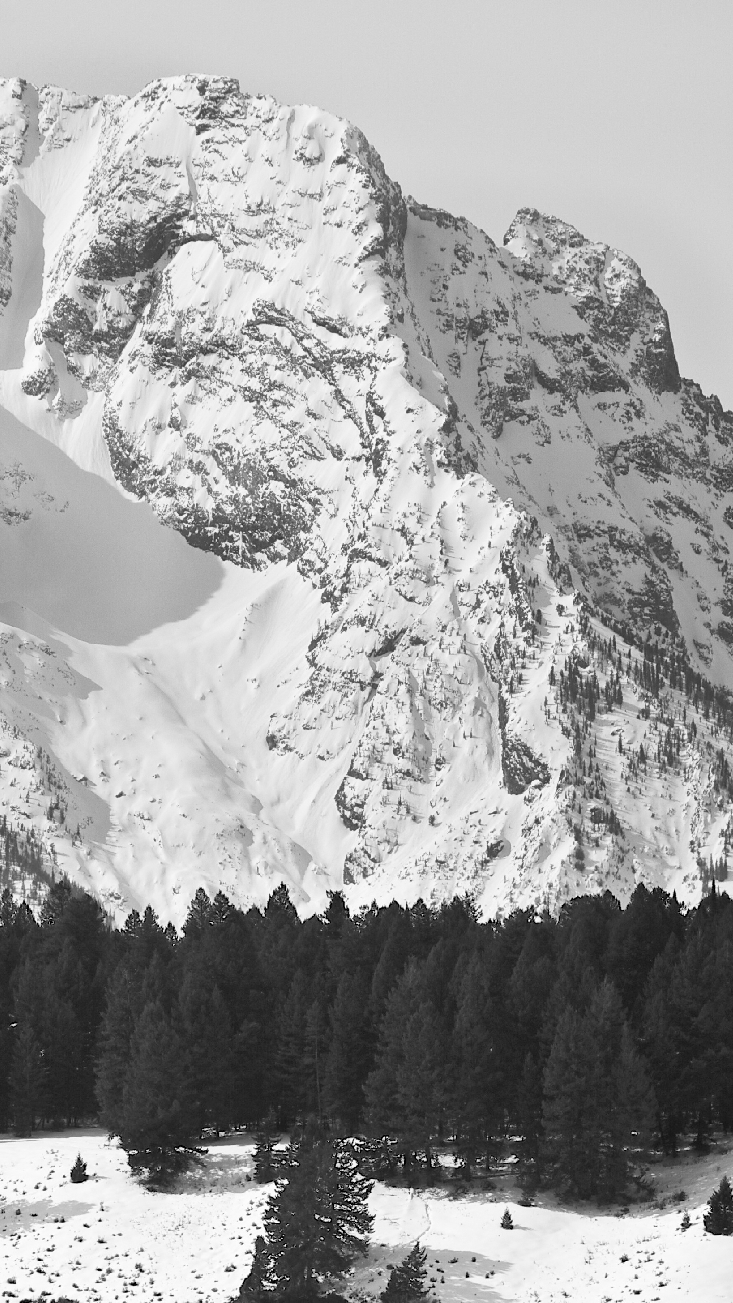 精选手机壁纸,纯粹的幸福意境黑白灰手机壁纸