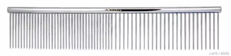 宠物洗护合集,宠物洗护攻略