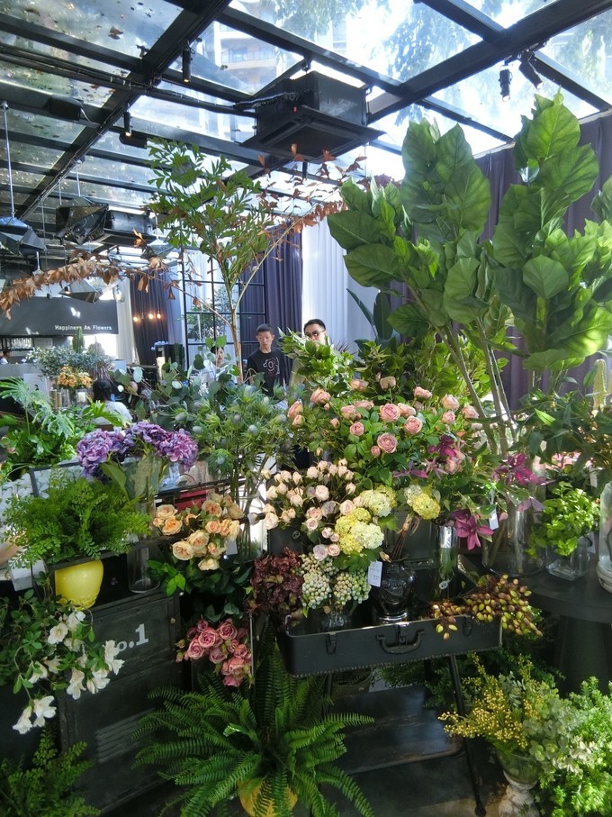 广州三亚三日游,三亚广州6日游