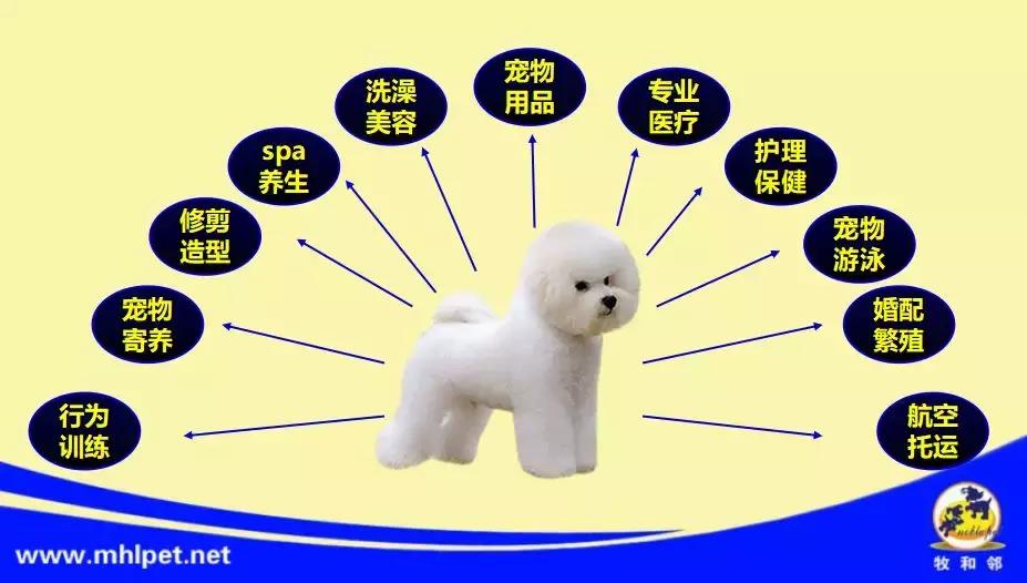 宠研社06期宠业茶话会在京举行，狗富贵互相旺